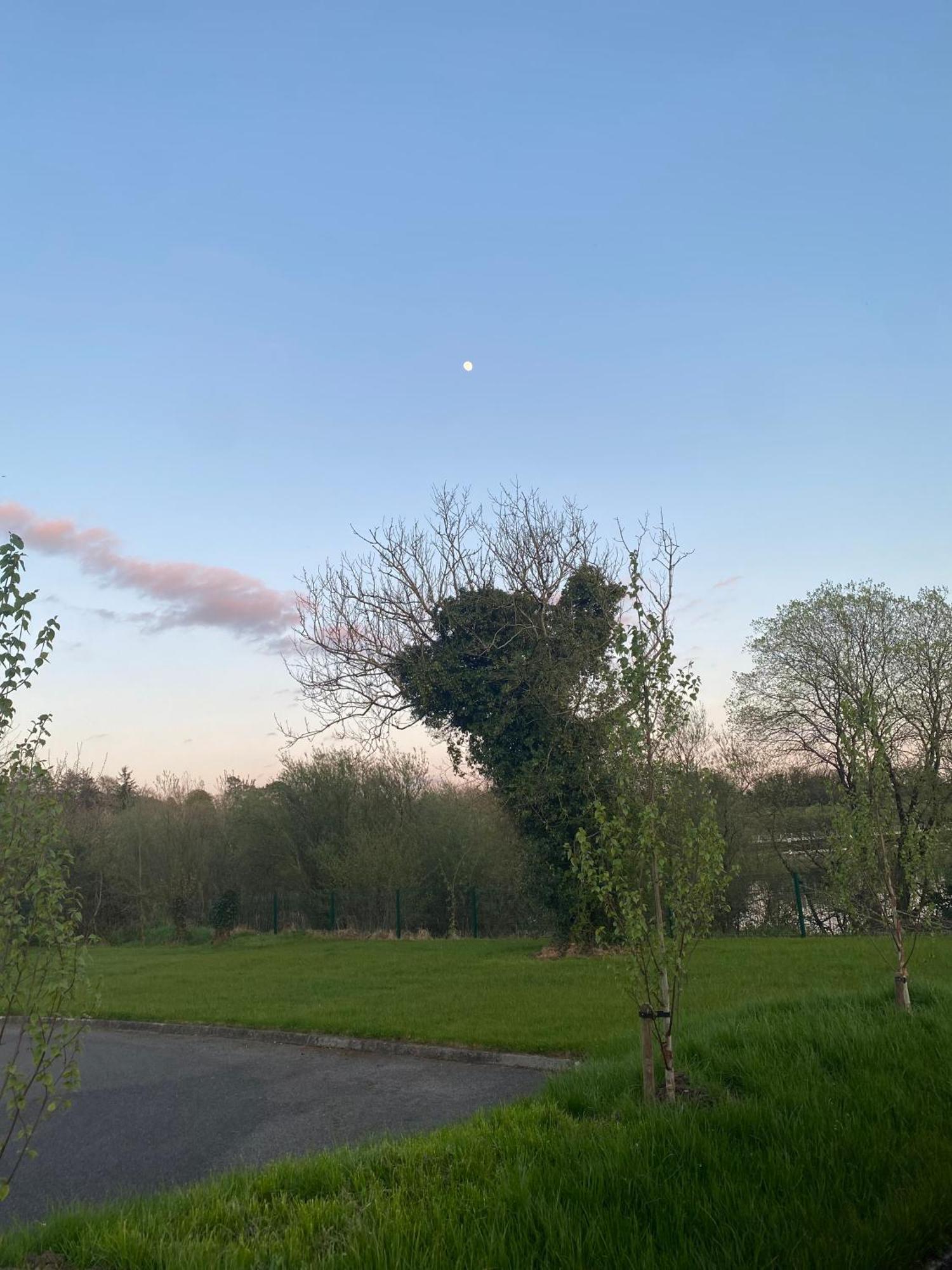 Killyfole Lakeside Lodges Corranny Экстерьер фото